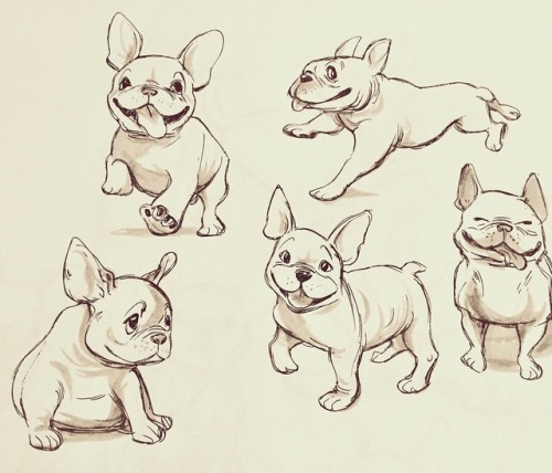 500x428 french bulldog drawing tumblr - French Bulldog Drawing
