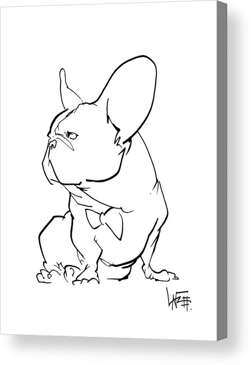 517x750 French Bulldog Gesture Sketch Acrylic Print - French Bulldog Line Drawing