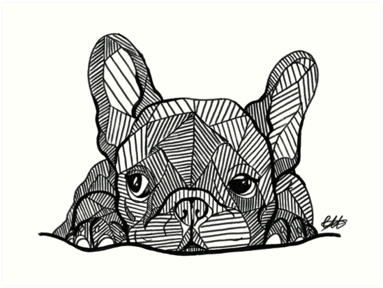 549x413 French Bulldog Puppy Art Prints - French Bulldog Line Drawing