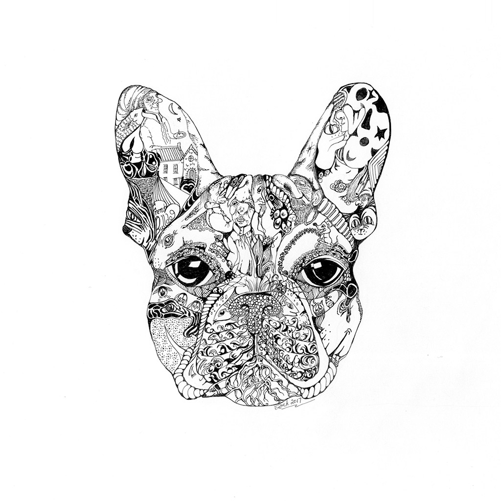 1024x1024 French Bulldog - French Bulldog Line Drawing