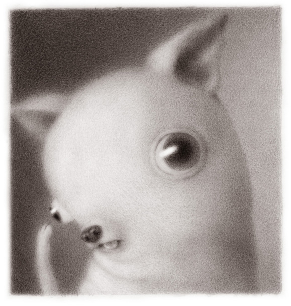 579x609 renee french's new series of bizarre and endearing drawings hi - French Drawings