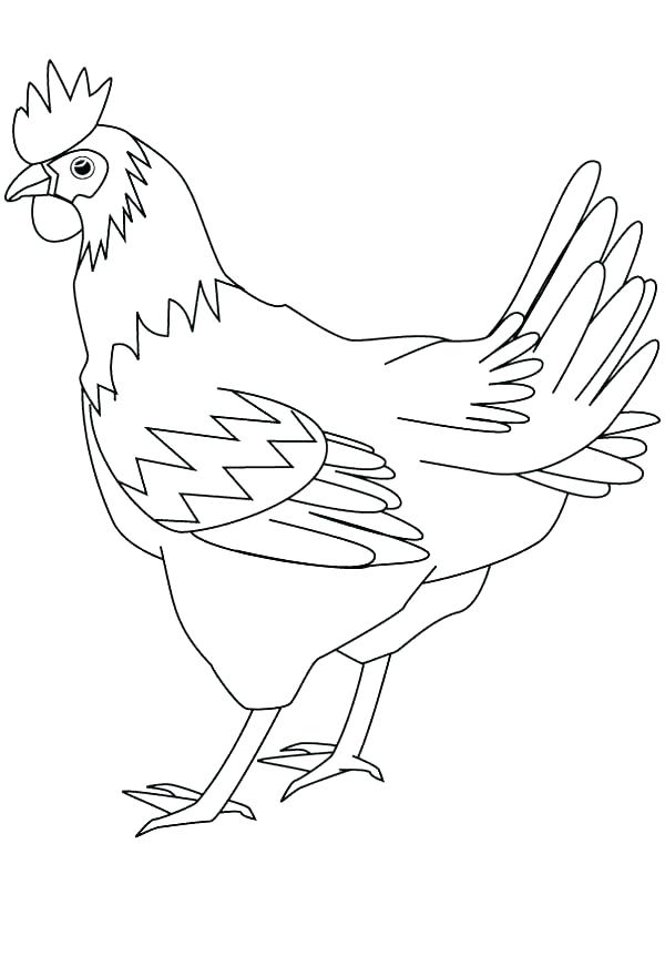 600x880 hen coloring - French Hen Drawing