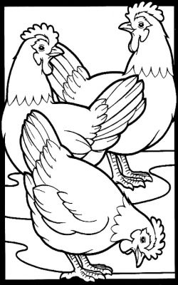 250x400 three french hens bird rooster hen drawings chicken drawing - French Hen Drawing