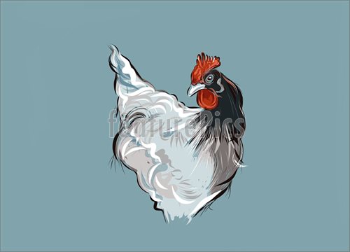 500x360 wildlife french hen - French Hen Drawing