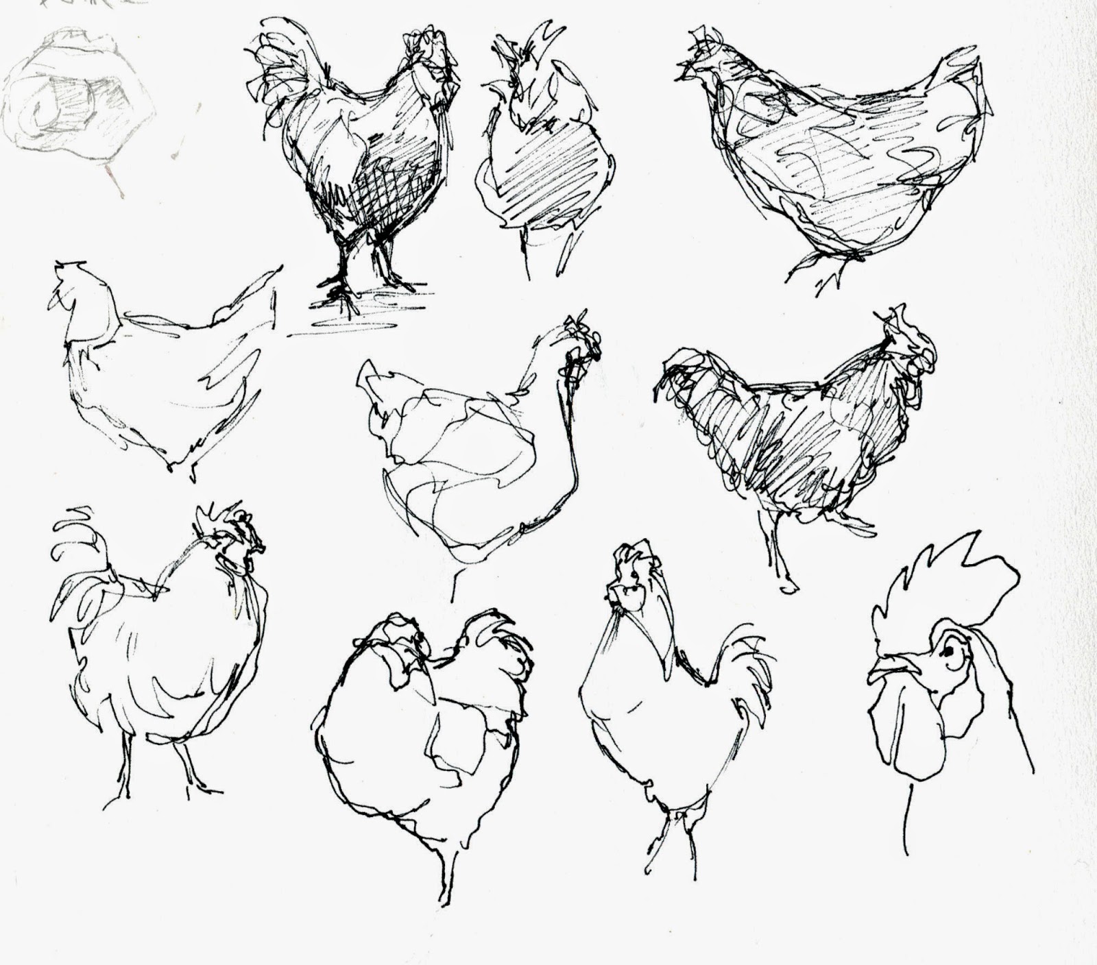 1600x1408 suburban sketches exercise the french hen - French Hen Drawing