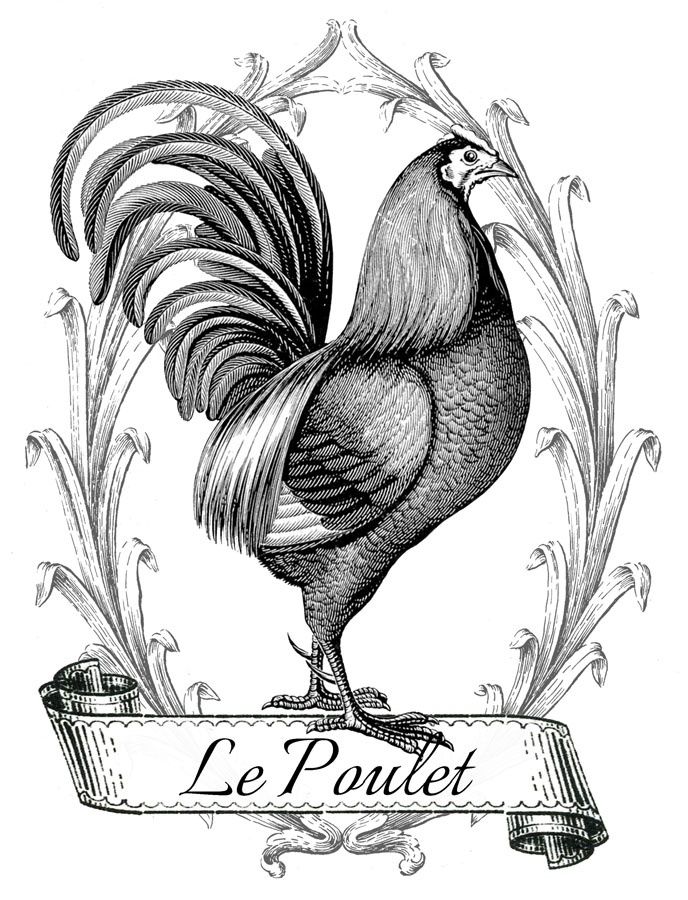 French Hen Drawing at Explore collection of French