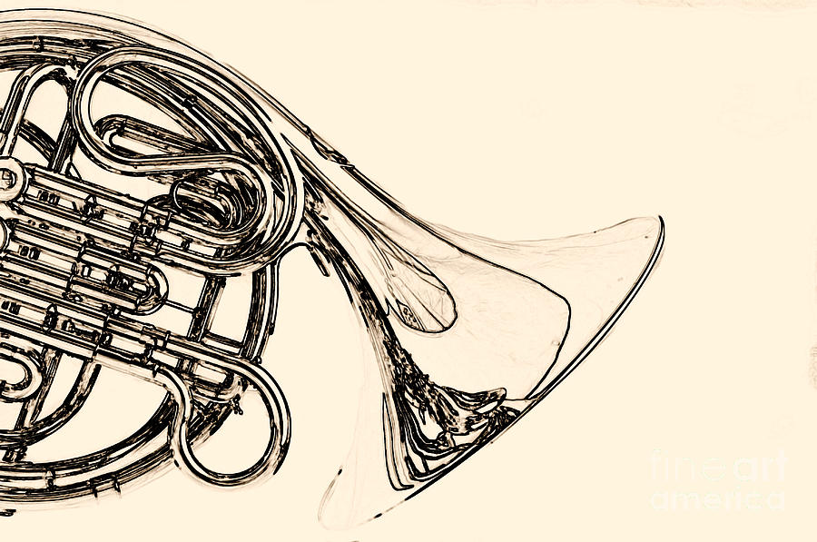 900x597 drawing of a french horn classic in black and white - French Horn Drawing