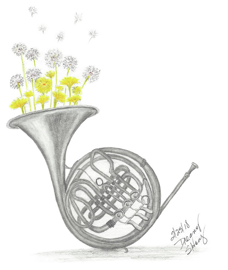 French Horn Drawing at Explore collection of