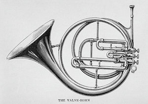 300x210 french horn drawings fine art america - French Horn Drawing