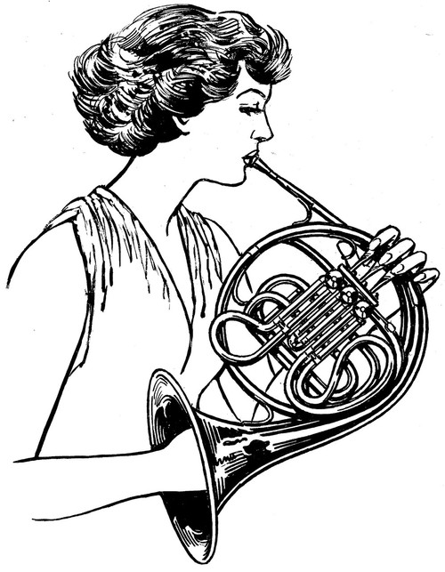 500x643 french horn player discovered - French Horn Drawing