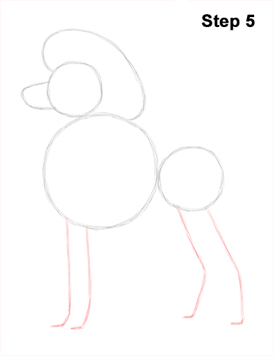 386x500 How To Draw A Poodle Dog - French Poodle Drawing