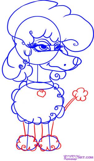 305x520 Step How To Draw A Cartoon French Poodle Dog - French Poodle Drawing