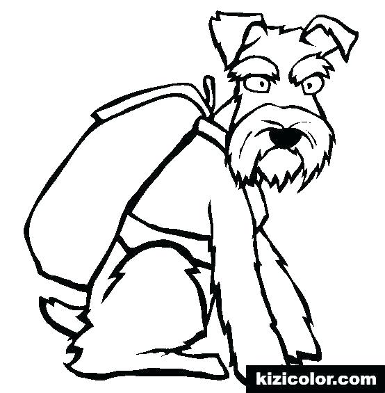 554x565 Vector Art Poodle Coloring - French Poodle Drawing