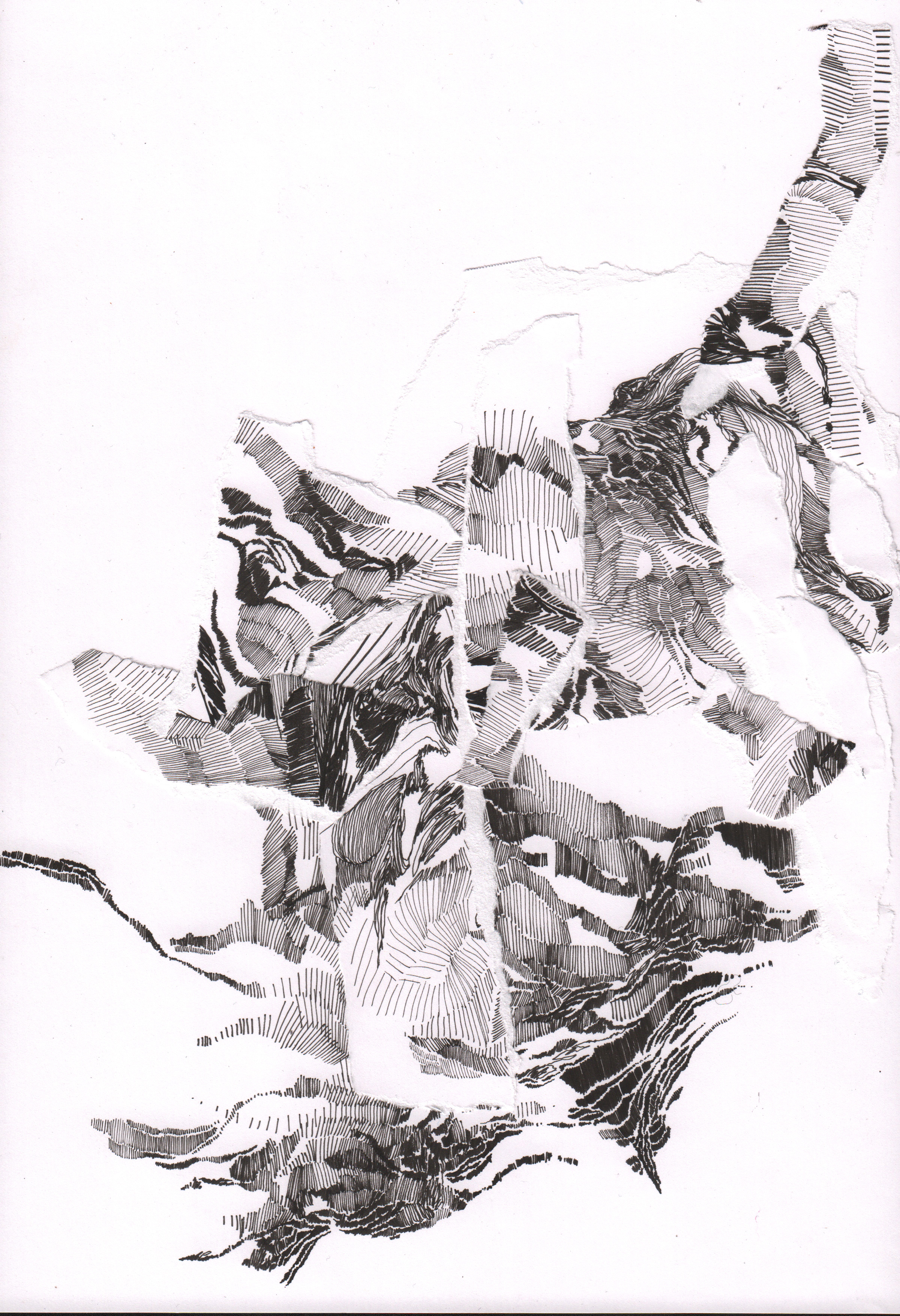 2400x3510 frank pudney uneven friction drawing biennial drawing room - Friction Drawing