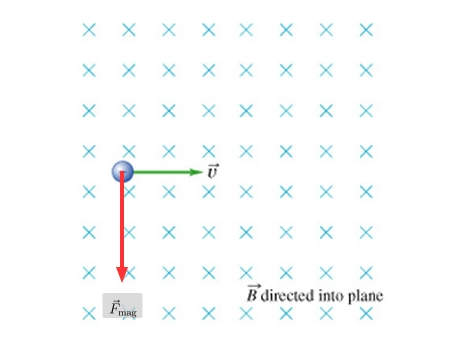 453x344 mastering physics solutions magnetic force vector drawing - Friction In A Bone Joint Vector Drawing