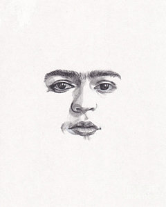 240x300 Kahlo Drawings Fine Art America - Frida Kahlo Drawings