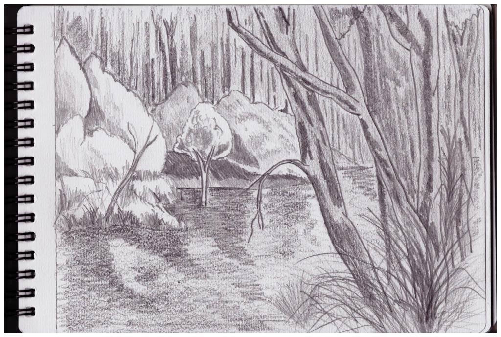 1024x689 every bed of roses landscape drawings attempt no {virtual fridge} - Fridge Drawings