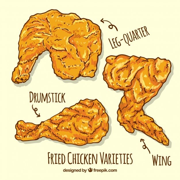 626x626 hand drawn fried chicken pieces free vector note taking - Fried Chicken Drawing