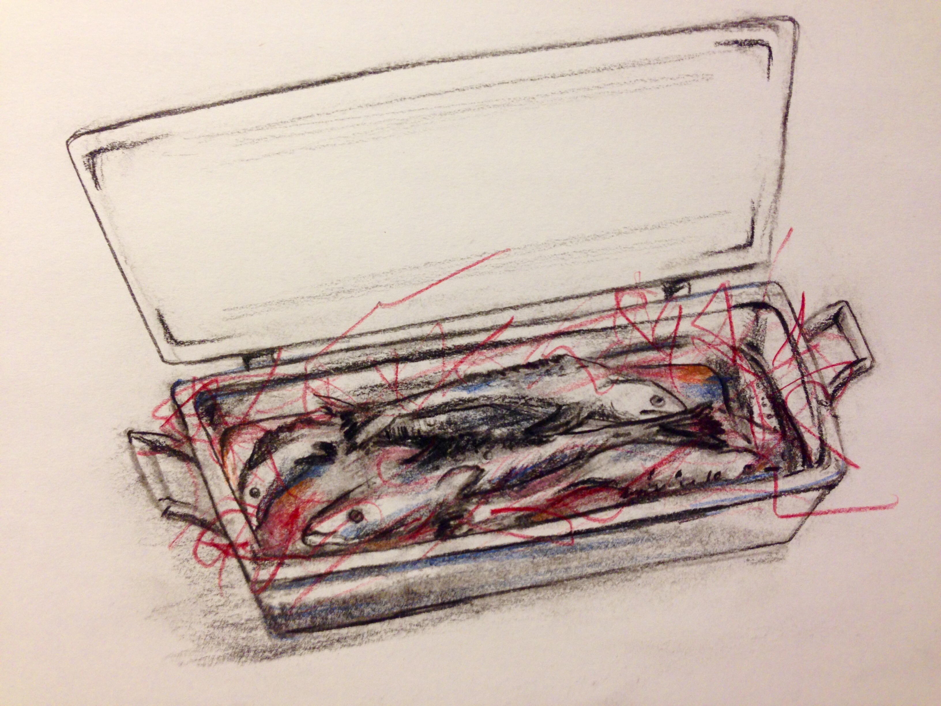 3264x2448 d k's fried fish - Fried Fish Drawing