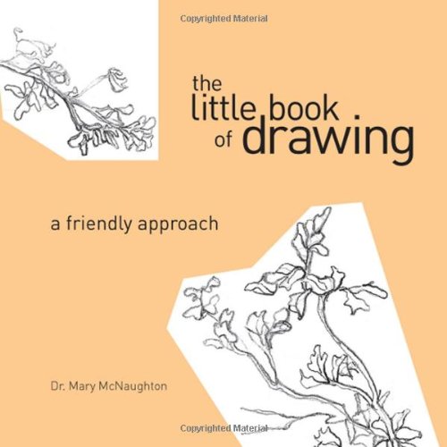 500x500 the little book of drawing a friendly approach mary mcnaughton - Friendly Drawing