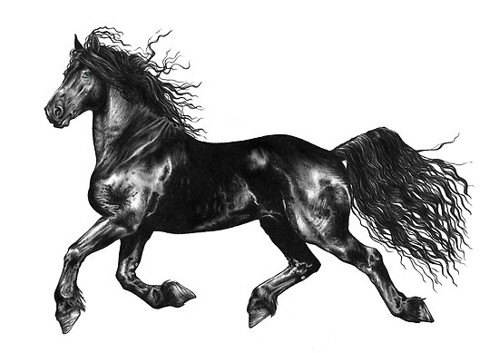 550x389 floating friesian posters - Friesian Drawing