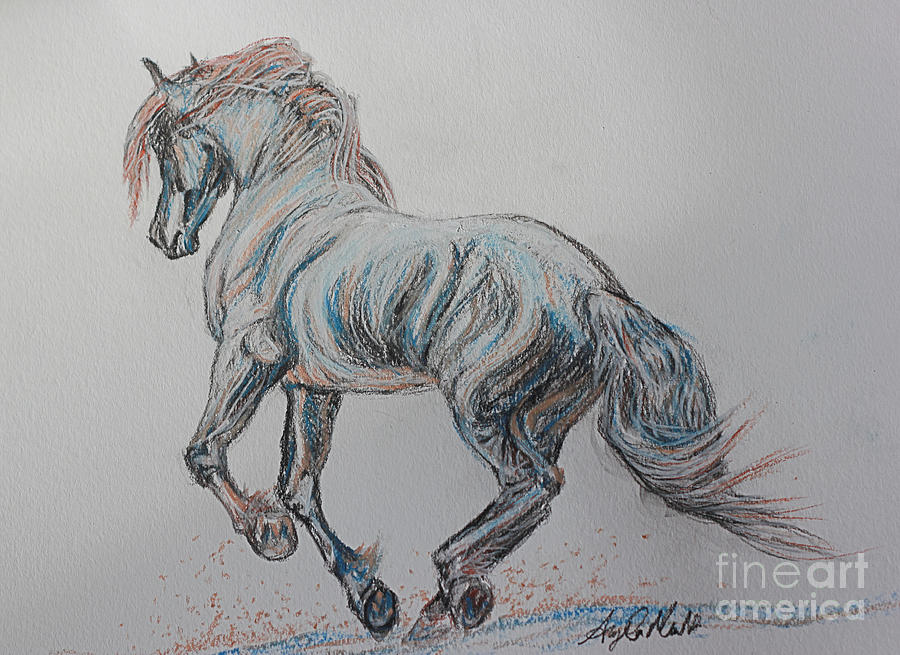 900x655 friesian drawing - Friesian Drawing