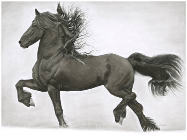 375x281 friesian horse drawing - Friesian Drawing