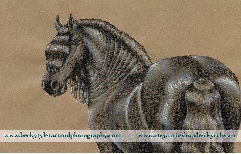 794x507 friesian horse original drawing etsy - Friesian Drawing