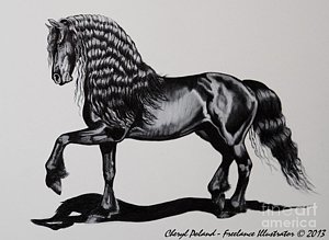 300x219 friesian mare drawing - Friesian Drawing
