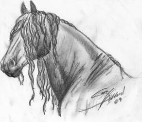 292x250 friesian drawing - Friesian Drawing