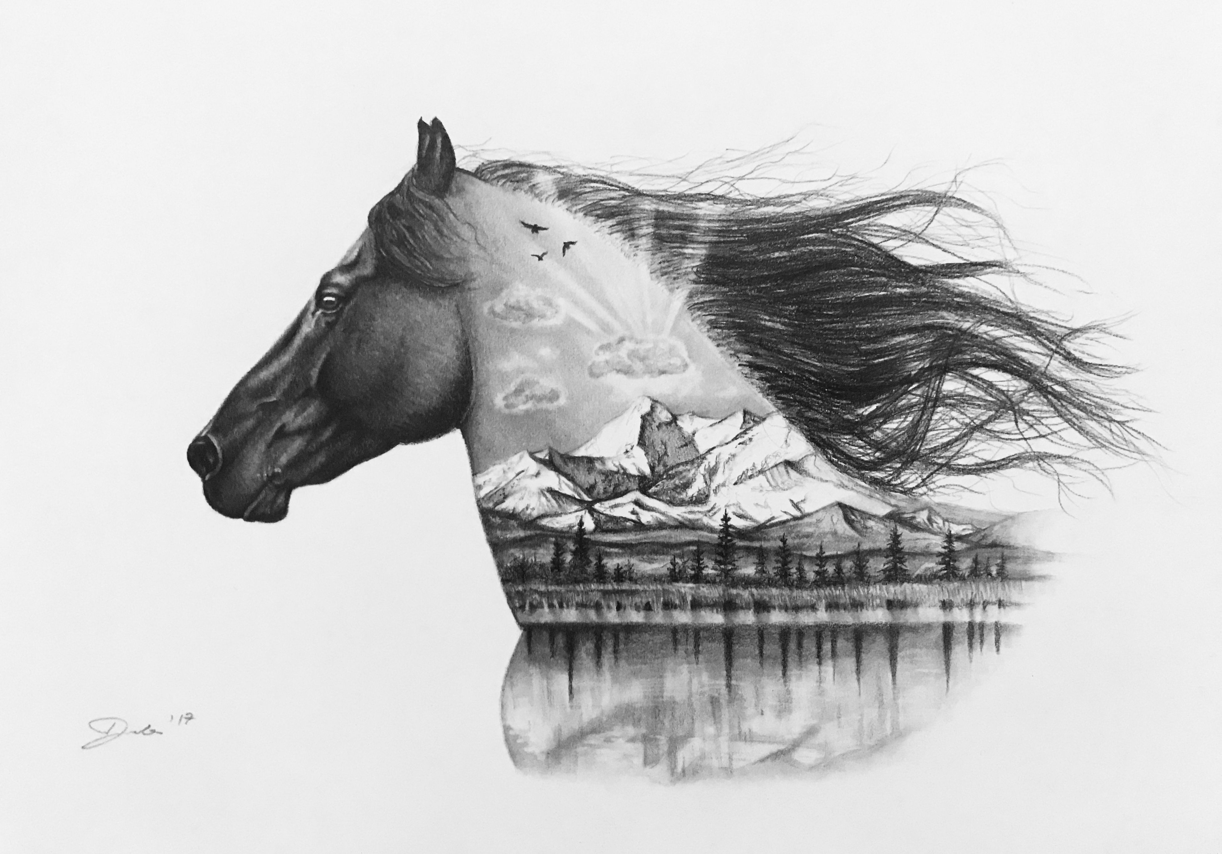 3964x2772 friesian horse pencil drawing art horse pencil drawing, pencil - Friesian Drawing