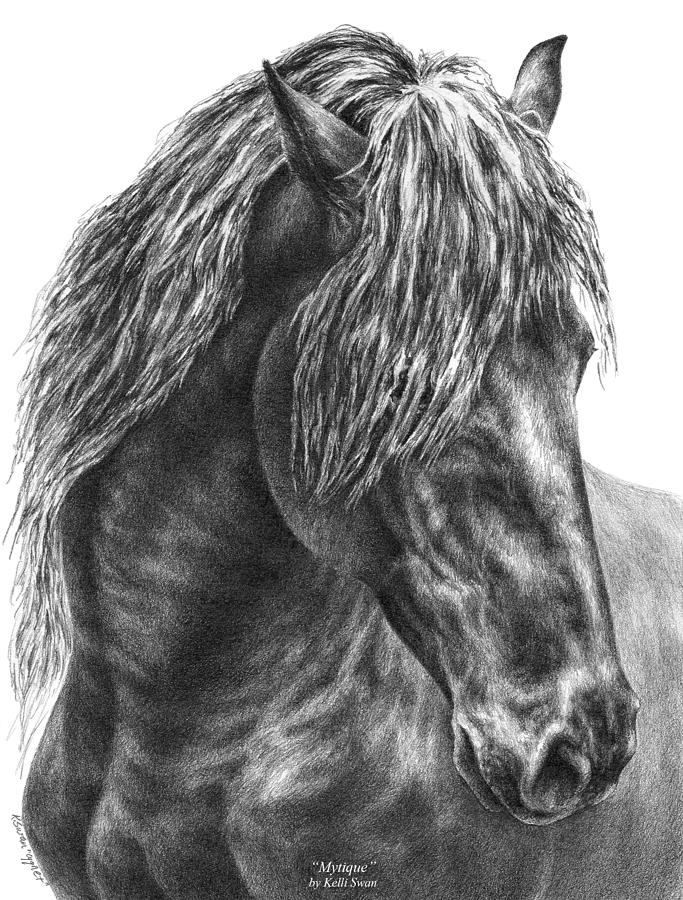 683x900 mystique - Friesian Drawing