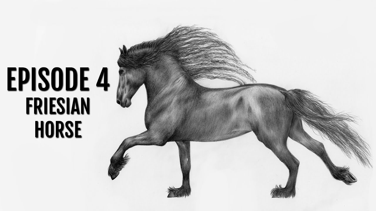 1280x720 speed drawing - Friesian Drawing