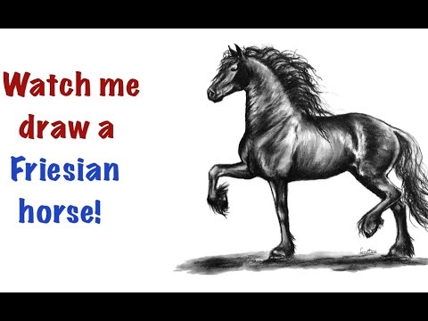 480x360 drawing a friesian horse - Friesian Drawing