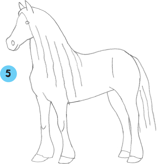 507x530 friesian - Friesian Horse Drawing