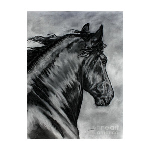 300x300 friesian horse beauty painting drawing - Friesian Horse Drawing