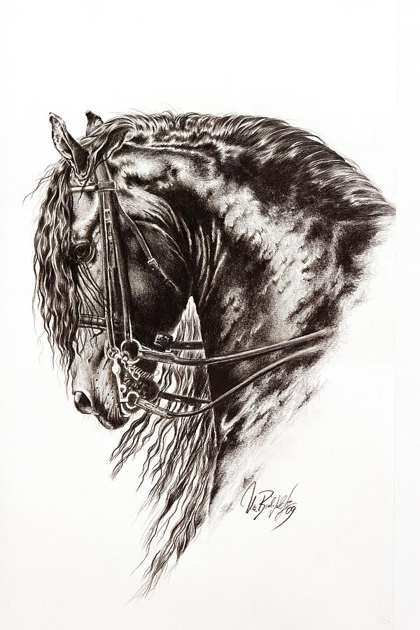 600x900 friesian horse drawing - Friesian Horse Drawing