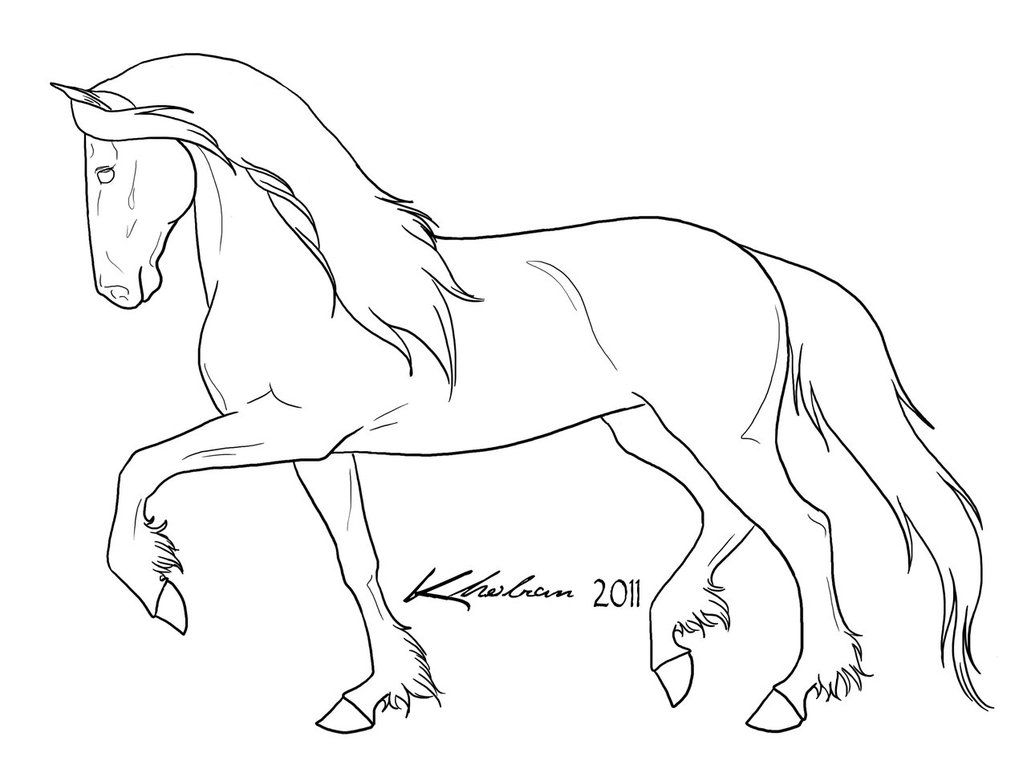 1027x777 friesian lineart - Friesian Horse Drawing