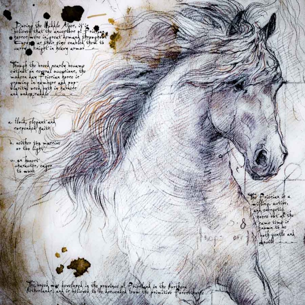 1000x1000 friesian running detail of a da vinci style drawing - Friesian Horse Drawing