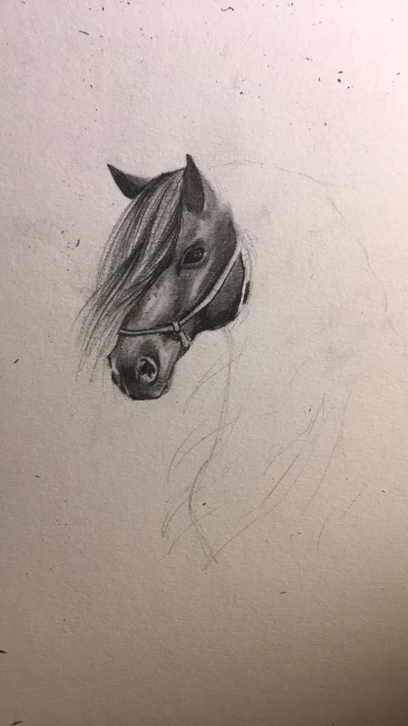 576x1024 friesian horse drawing - Friesian Horse Drawing