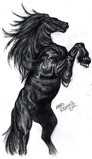380x653 rearing friesian - Friesian Horse Drawing