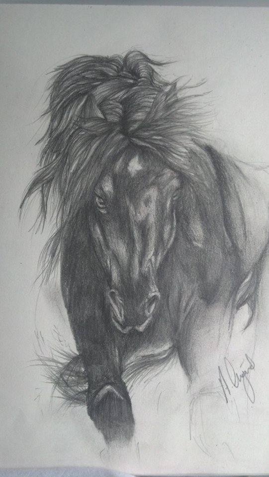 541x960 drawing black friesian horse hd fondo de pantalla - Friesian Horse Drawing