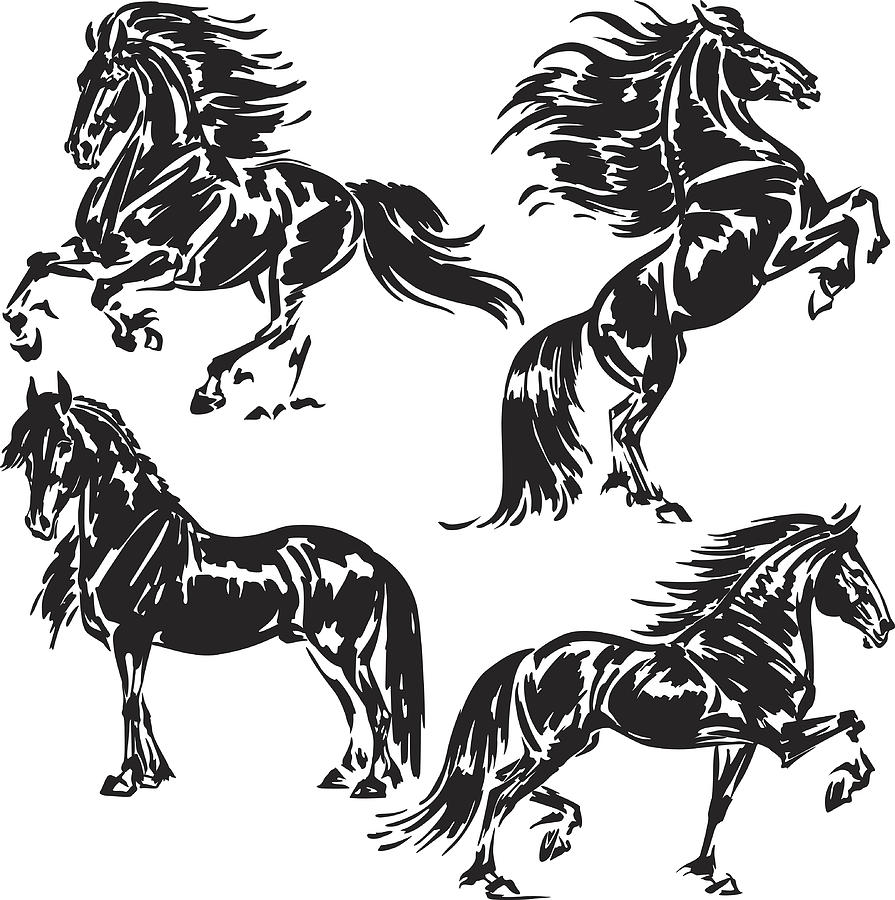 895x900 four friesian horses - Friesian Horse Drawing