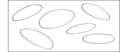 427x176 The Frisbee Of Art - Frisbee Drawing