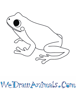 300x350 How To Draw A Green Tree Frog - Frog Drawing