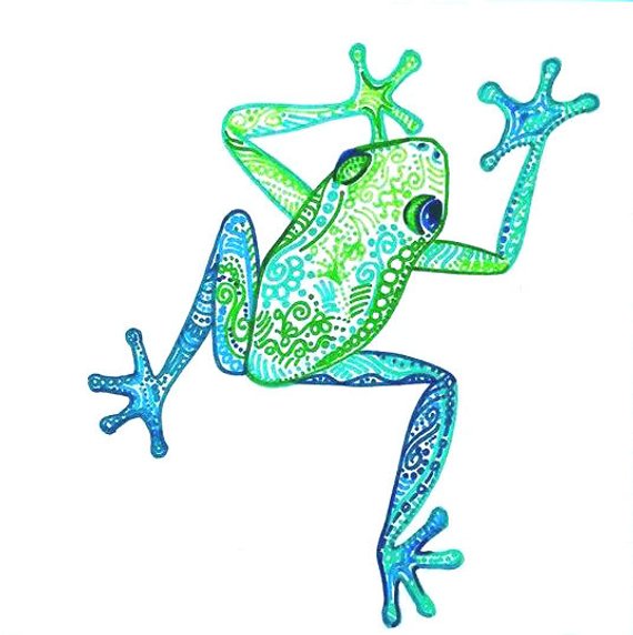 570x572 items similar to tree frog drawing tropical frog art colorful - Frog Drawing
