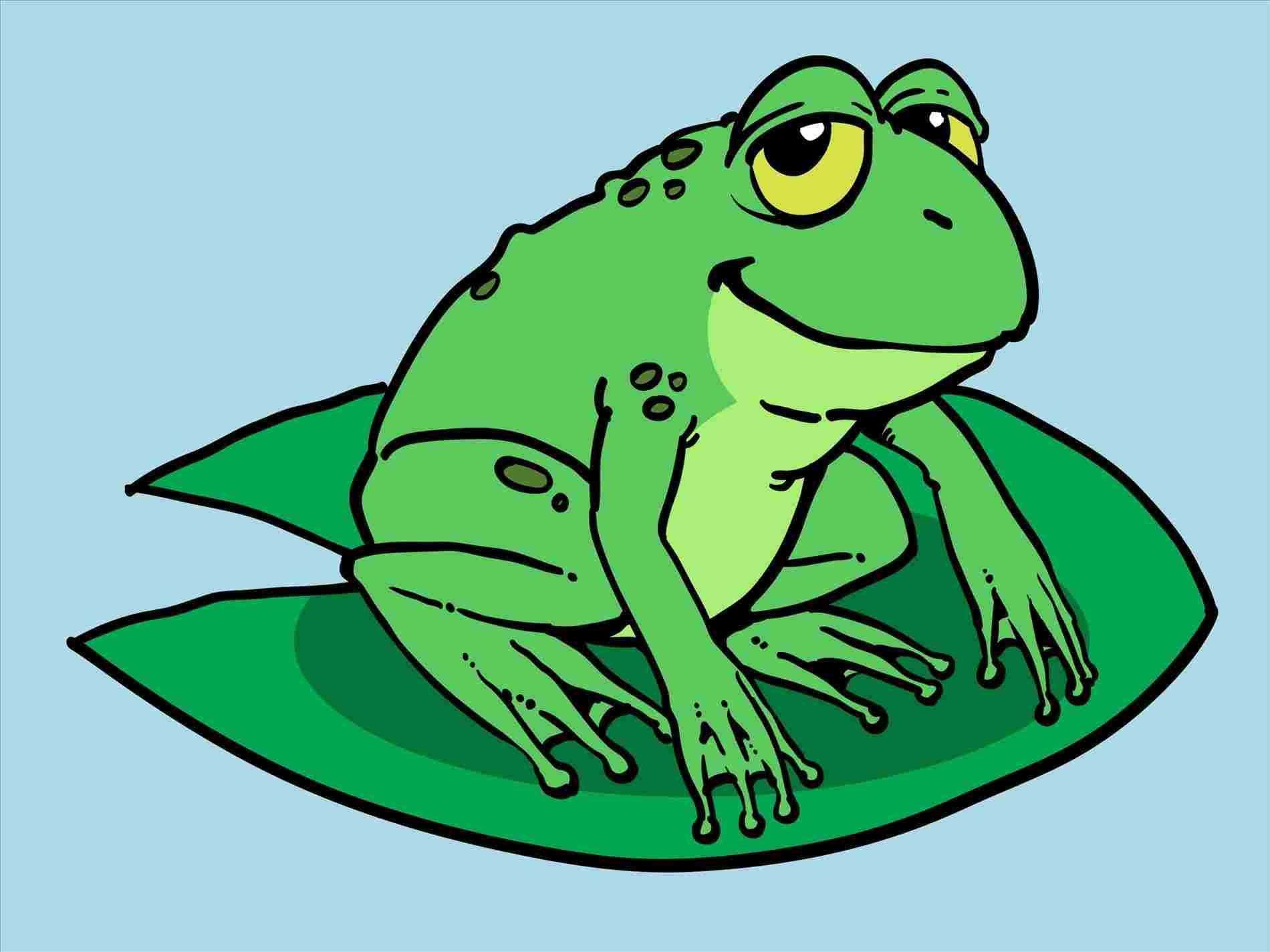 1900x1425 how easy cartoon frog drawing to draw a cartoon frog - Frog Drawing
