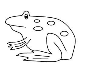 333x250 How To Draw A Frog - Frog Drawing Easy