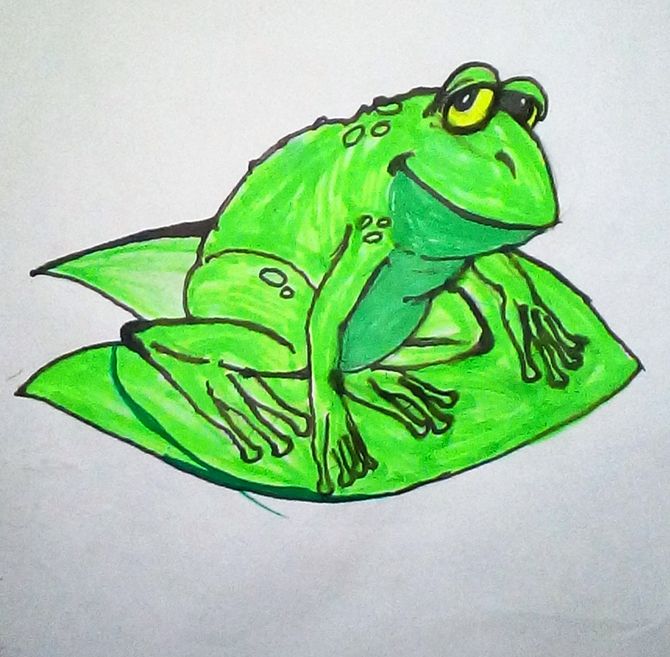 670x657 How To Draw A Cartoon Frog Steps - Frog Drawing Easy