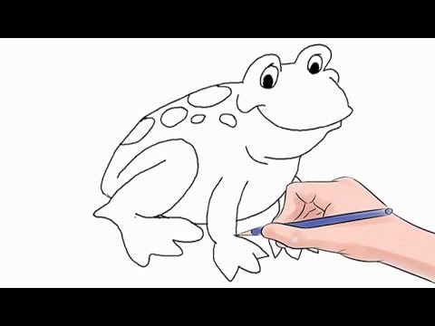 480x360 How To Draw A Frog Easy Step - Frog Drawing Easy